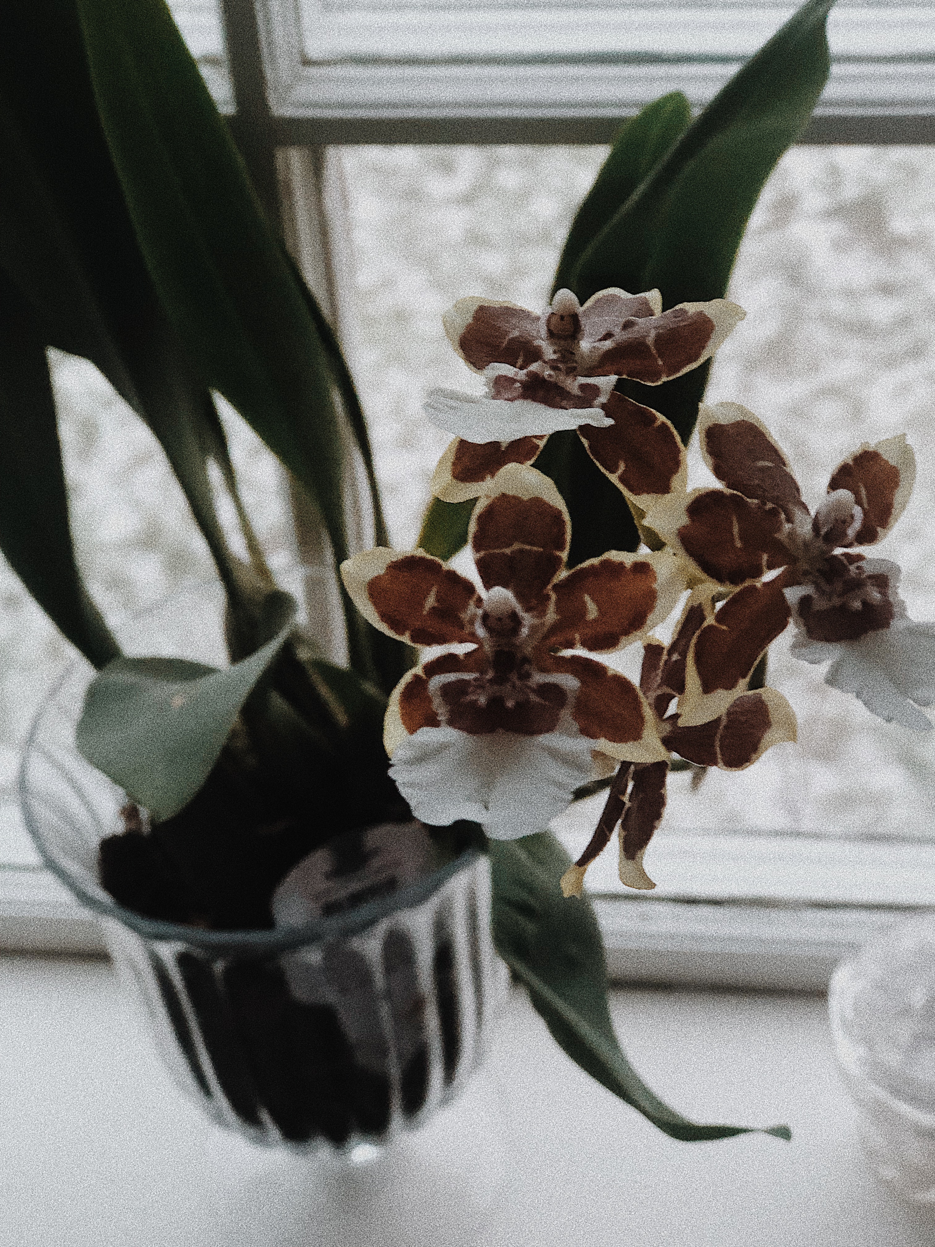 Processed with VSCO with m5 preset